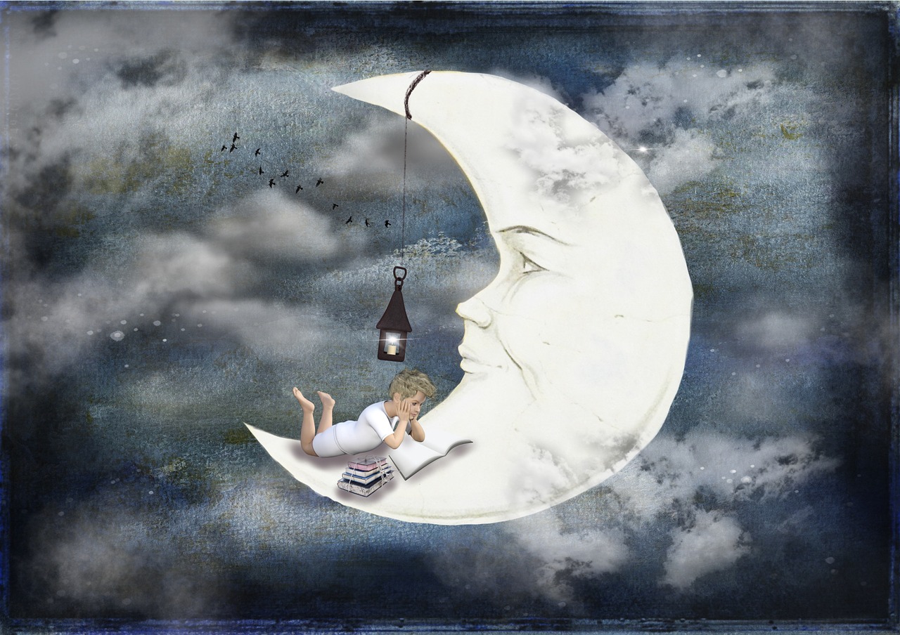 蓝版小夜猫图谜A，探索神秘与奇趣的夜间精灵