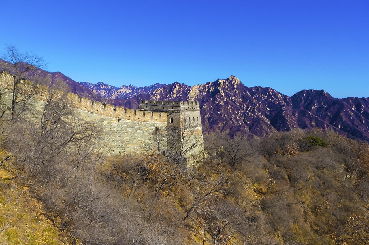 端午期间彩票市场休市吗？深度解析与影响分析